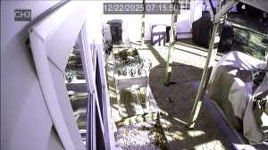 Caméra IP - Estados Unidos