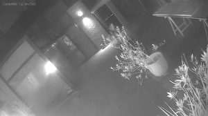 Caméra IP - Bélgica