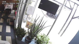 Caméra IP - United States of America