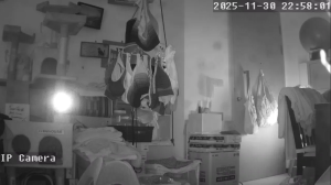 Caméra IP - Singapore