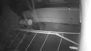 Caméra IP - Roumanie