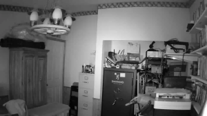 Caméra IP - États-Unis d'Amérique