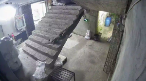 Caméra IP - Vue en direct