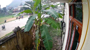 Caméra IP - Vietnam