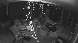 Caméra IP - États-Unis d'Amérique