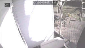 Caméra IP - Estados Unidos