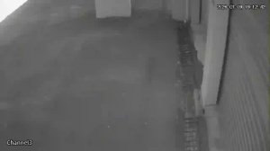 Caméra IP - South Africa