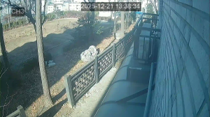 Caméra IP - South Korea