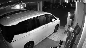 Caméra IP - Japan