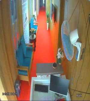 Caméra IP - Vue en direct