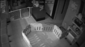 Caméra IP - South Korea