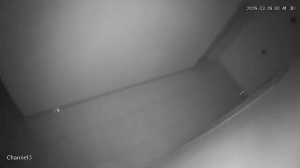 Caméra IP - Saudi Arabia