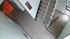 Caméra IP - South Korea