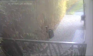 Caméra IP - Frankreich