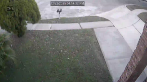 Caméra IP - Estados Unidos