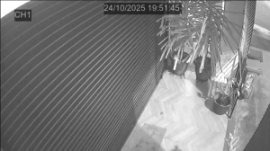 Caméra IP - Singapur