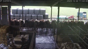 Caméra IP - Irlande