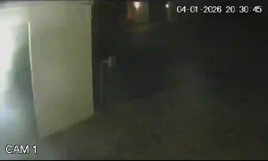 Caméra IP - Südafrika