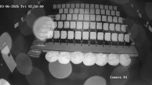 Caméra IP - Russische Föderation