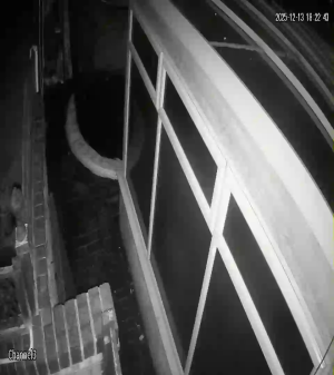 Caméra IP - Royaume-Uni