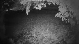 Caméra IP - États-Unis d'Amérique