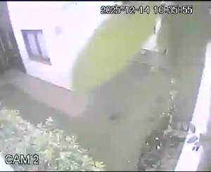 Caméra IP - Argentinien