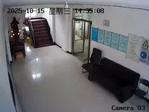 Caméra IP - China