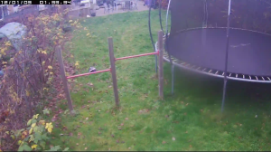 Caméra IP - Belgium