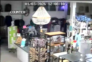 Caméra IP - États-Unis d'Amérique