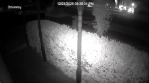 Caméra IP - Australia