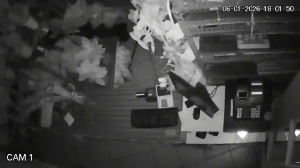 Caméra IP - Spanien