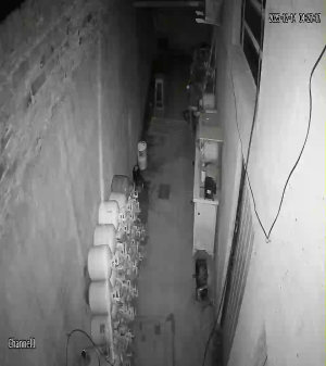 Caméra IP - Argentine