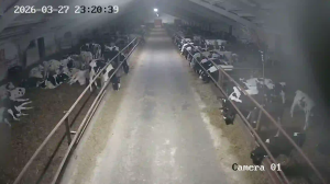 Caméra IP - Biélorussie