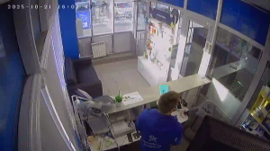 Caméra IP - Rusia