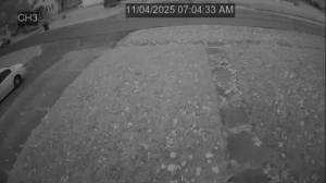 Caméra IP - Vereinigte Staaten von Amerika