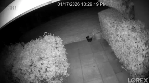 Caméra IP - United States of America