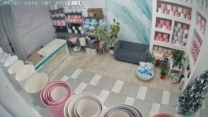 Caméra IP - Russische Föderation