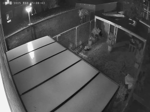 Caméra IP - Niederlande