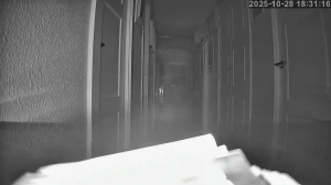 Caméra IP - Spanien