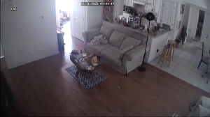 Caméra IP - États-Unis d'Amérique