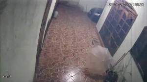 Caméra IP - Brasilien