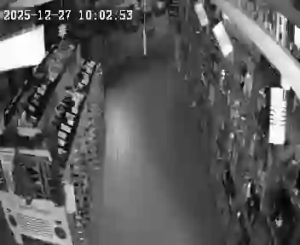 Caméra IP - Vereinigte Staaten von Amerika