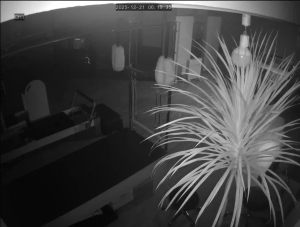 Caméra IP - Corée du Sud