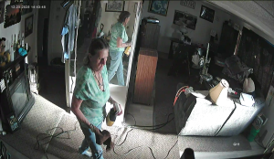 Caméra IP - Estados Unidos