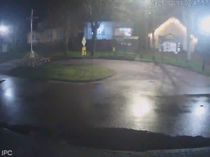 Caméra IP - Vue en direct