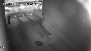 Caméra IP - Russian Federation