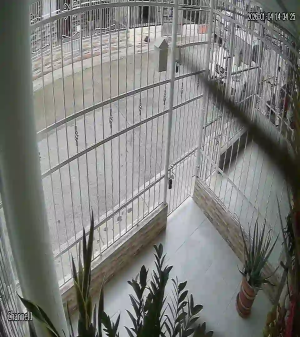 Caméra IP - Colombia