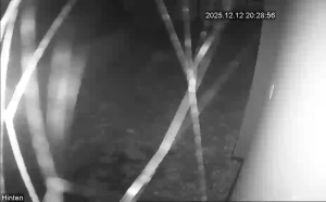 Caméra IP - The Republic of North Macedonia