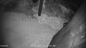 Caméra IP - Australia