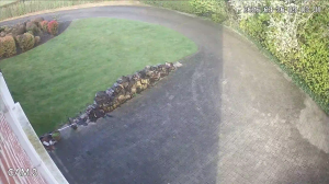 Caméra IP - Belgique